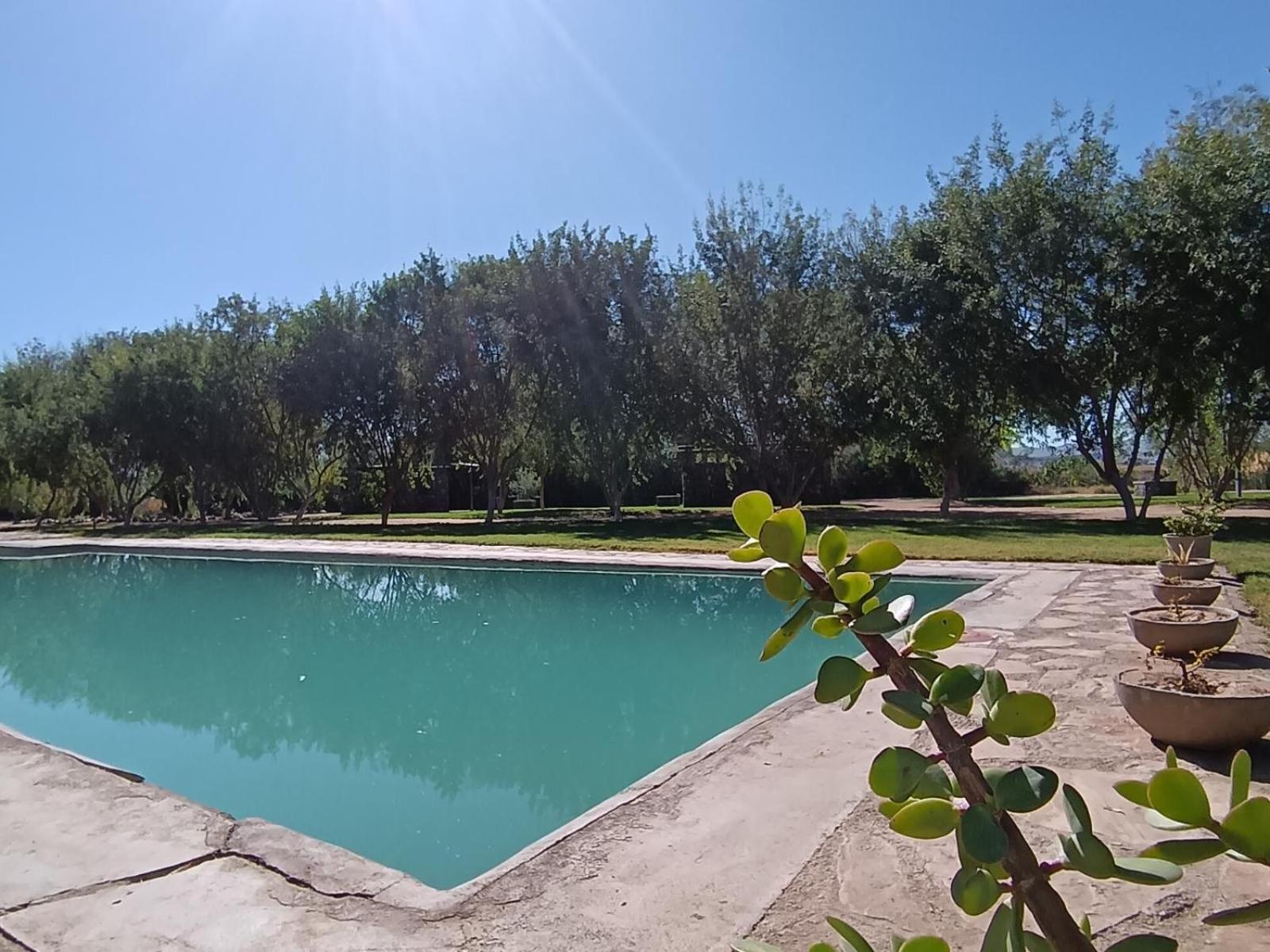 Kwelanga River Lodge Vioolsdrift エクステリア 写真